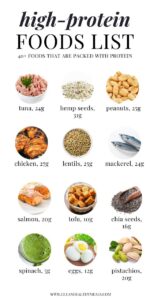 High protein diet plan